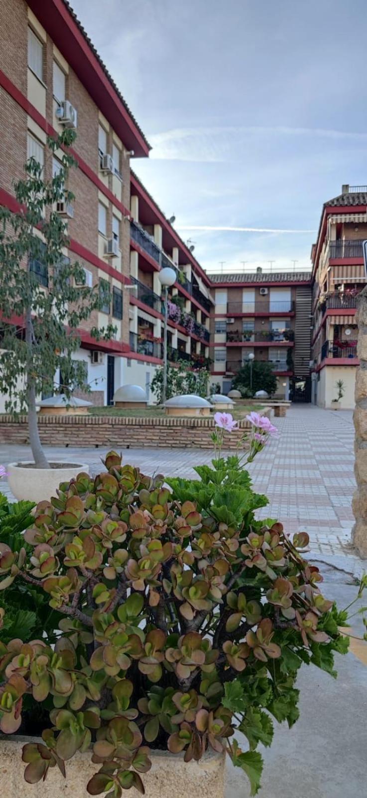 Loft A La Verita River, Parking Free Córdoba Kültér fotó